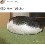 [19] <b>클럽</b> 진짜 개꿀잼이다 ㅎ