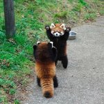 [<b>주작</b>허용] 존내 설레는 썰 풀고가자