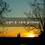 [남녀갈등] 인생이 한 그루의 꽃나무라면~