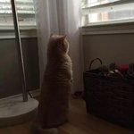 감성<b>힙합</b> 추천해줘!!!!!!!!!!!!!?!!!
