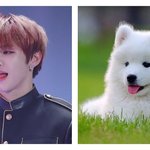[강다니엘] ㅅㄷ너네 <b>예상</b>해봐