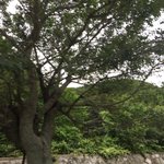 난 소소한자연이 너무좋아