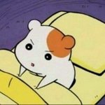 [댓글부탁해] 10대판을 떠나야 하는거야,,?