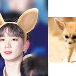 [프듀X] 근데 윤정환 이사진좀 봐봐  .. 진짜