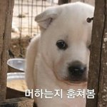 [ㅈㄱㄴ] <b>리쌍</b> 노래 환장하는 사람 있냐 ㅜㅜ