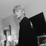[NCT] 얘들아 나 고양이키우는데 보면 볼수록