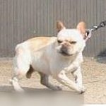 [드루와] 아 진심 지과 <b>천체</b> 뒤지고싶다 ㅠ