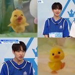 [프듀<b>X</b>] <b>병</b>찬이 보면 볼수록 이거 닮았어