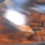 볼 때마다 배고파지는 프로그램