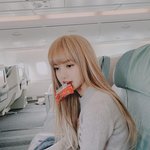 블핑 <b>리사</b>