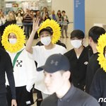 [방탄소년단] 해바라기 속 <b>함정</b>이 있다