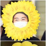 [방탄소년단] 애옹이를 고르시오