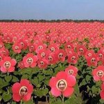 [방탄소년단] 우리장르 떼샷 <b>new</b>버전 추가