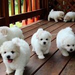 [드루와] <b>추반</b> 속보이게 하는애들ㅈㄴ싫음