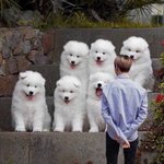 [댓글부탁해] 강다니엘 <b>새</b> 소속사 <b>직원</b>들 단체사진 떴어