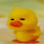 나 <b>수면</b>패턴 어쩌냐