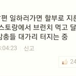 일베가 욕먹는 이유