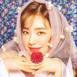 비수기 따위 없는 아이린 미모