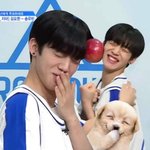 [프듀X] 김요한 이진혁