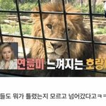 [댓글부탁해] 나혼자 산다 역대급 <b>오타</b>.jpg