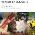 [프듀X] 아 이거 미친듯 개귀여워