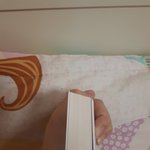[댓글부탁해] 너네 <b>이책</b> 몇 시간만에 읽을거같아?