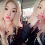 금발 <b>청하</b>