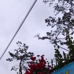 자퇴 왜 안했을까 후회한다