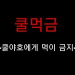 [EXO] 방금 만든 따끈따끈한 짤 공유한다