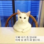[조언부탁해] 얘들아 발표공포증 내일 <b>ppt</b>발표 수행인데