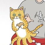 [드루와] 와 근데 ㄹㅇ 10키로 차이 쩌는듯;;; 현타쩐다