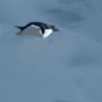 [NCT] 시티들중에 이거보여주면 <b>속</b>을<b>사람</b>