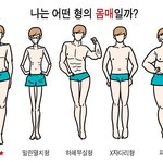여자몸매구분표 <b>미러</b>링