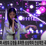 [댓글부탁해] 타이거 <b>JK</b> 신인 비비 쇼케 뜸