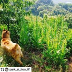 [팬톡] <b>시후</b>오빠