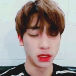 [프듀X] 픽 추천 좀 ㅠ!!(+