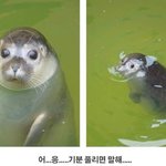 [댓글부탁해] 얘들아 스펙트럼 잘 아는사람 급해 ㅠ