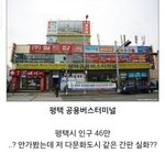 응팔 찢고 나온 터미널들