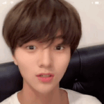 [프듀X] 차준호 틱톡 영업글 ❤️