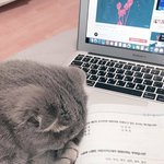 [댓글부탁해] 술에 <b>의존</b>하지 말라고하는 남친 추반