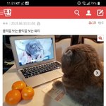 [댓글부탁해] <b>Ooh</b>