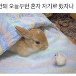[댓글부탁해] 친구한테 시험<b>끝</b>난<b>날</b> 어떻게 놀자고 말하지...