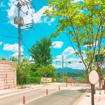 난 솔직히 이제 블핑 <b>이하이</b>