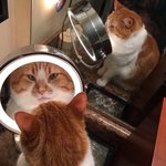 [댓글부탁해] <b>마리</b>몽 파는 곳 아는사람ㅠㅠㅠㅠ