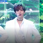 [프듀<b>X</b>] 현재 프로듀스X에서 금수저(?)로 추정되는 연습생