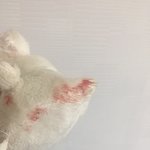 [댓글부탁해] <b>울</b><b>집</b> 강아지가 혀를 씹어서 피가 나ㅠㅠㅠ