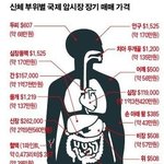 [모두드루와] 신체 <b>부위</b>별 국제 암시장 장기 가격
