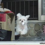 [댓글부탁해] 나만한 <b>도끼</b>병 있냐 ㅋ
