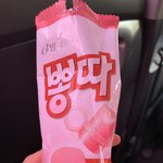 뽕따 레드피치 <b>개마</b>시따