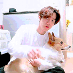 [EXO] <b>코기</b>들이 똑똑해